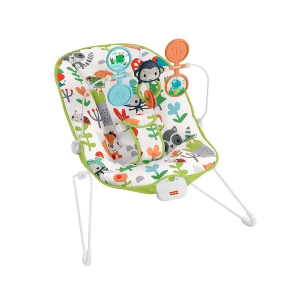 Baby Bouncer (Rental)
