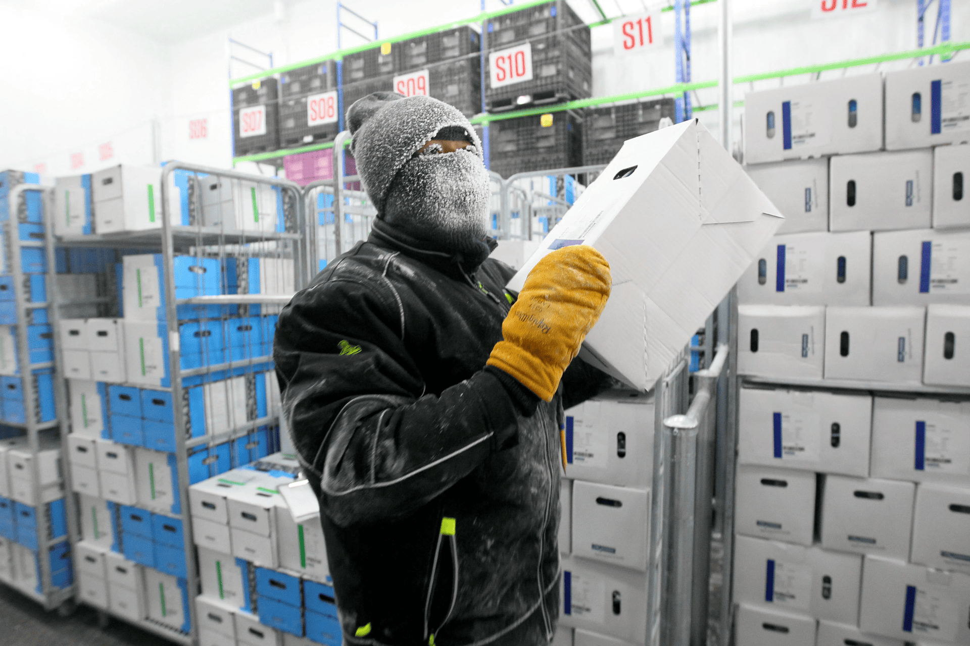 Cold Storage + Delivery for Pesach Food ($50 for each box you ship) Cold Storage + Delivery for Pesach Food ($50 for each box you ship)